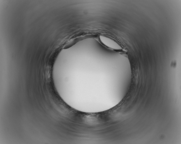 X0000089930232200707271804