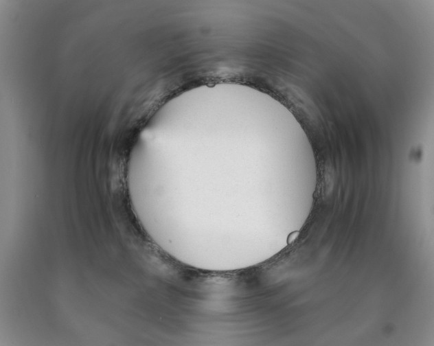 X0000089930236200707271804