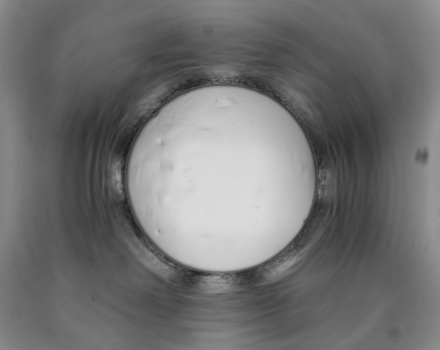 X0000089930238200707271804