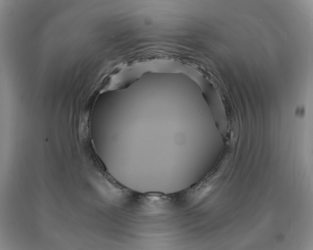 X0000089930239200707271804