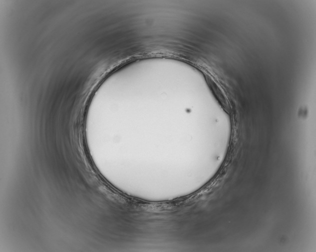 X0000089930241200707271803