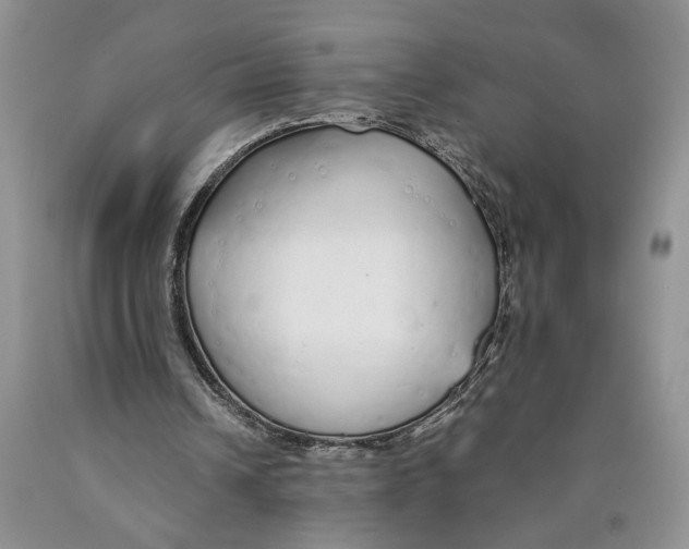 X0000089930242200707271803