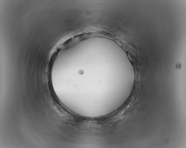 X0000089930244200707271803