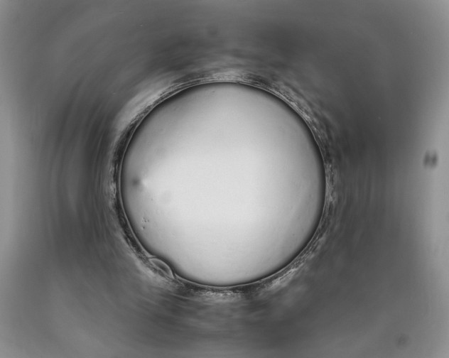 X0000089930245200707271803