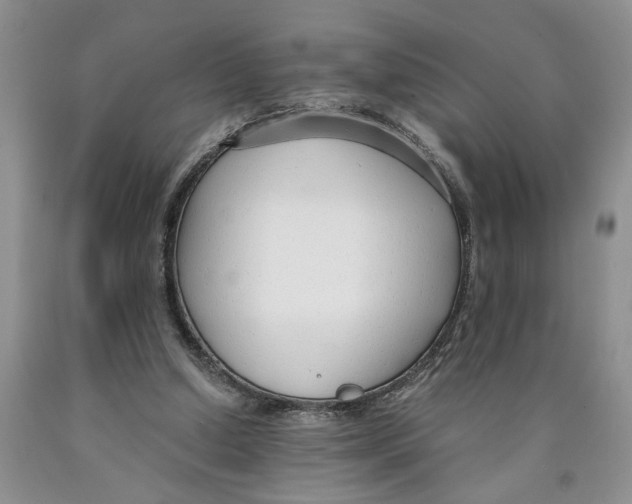 X0000089930250200707271803