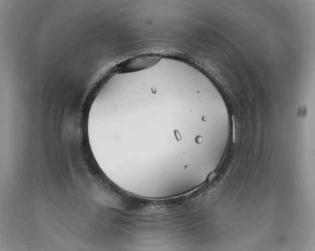 X0000089930252200707271803