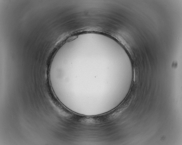 X0000089930253200707271803