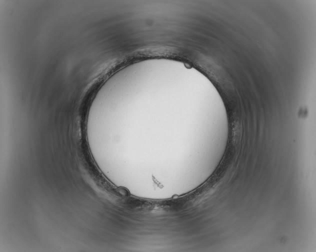 X0000089930254200707271803