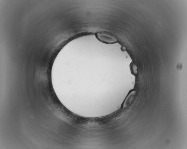 X0000089930256200707271803