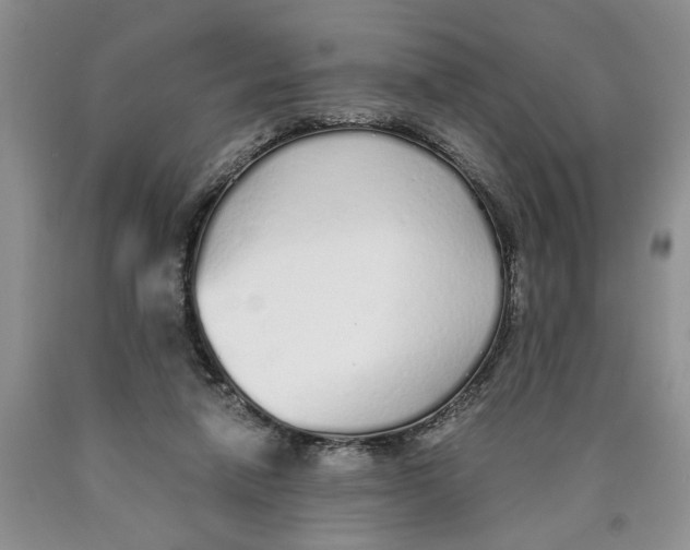 X0000089930258200707271803