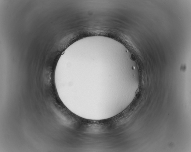 X0000089930259200707271803