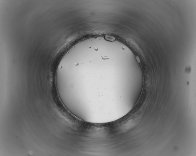 X0000089930260200707271803