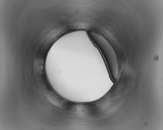 X0000089930264200707271803