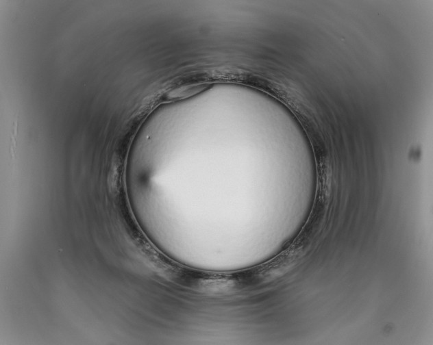 X0000089930266200707271804