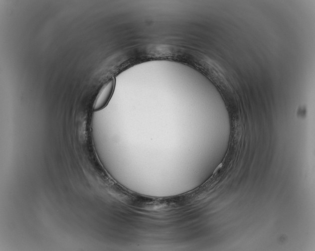 X0000089930267200707271804