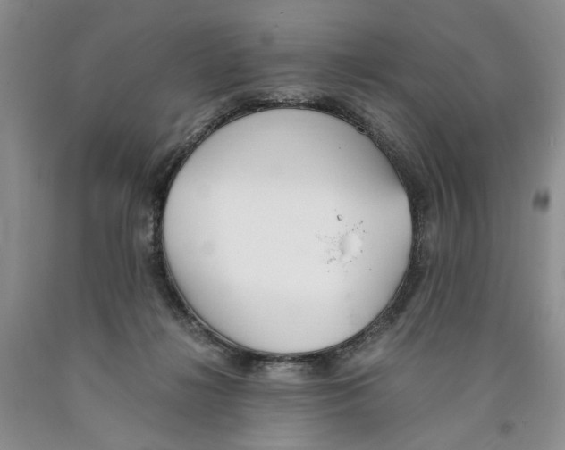 X0000089930268200707271804