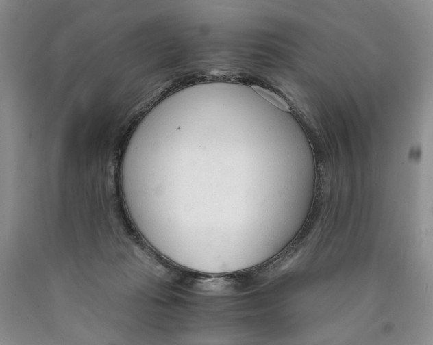 X0000089930269200707271804