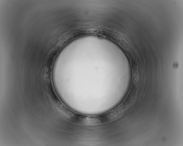 X0000089930270200707271804