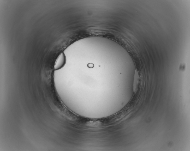 X0000089930271200707271804