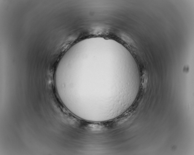 X0000089930272200707271804