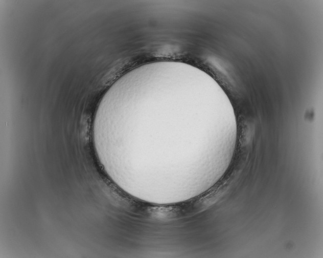 X0000089930273200707271804