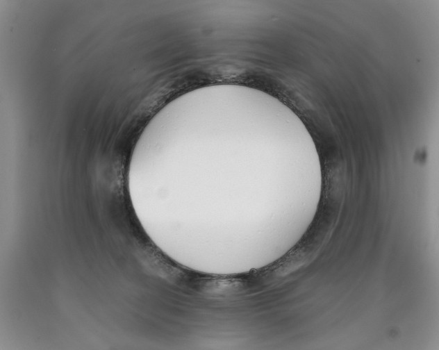 X0000089930274200707271804