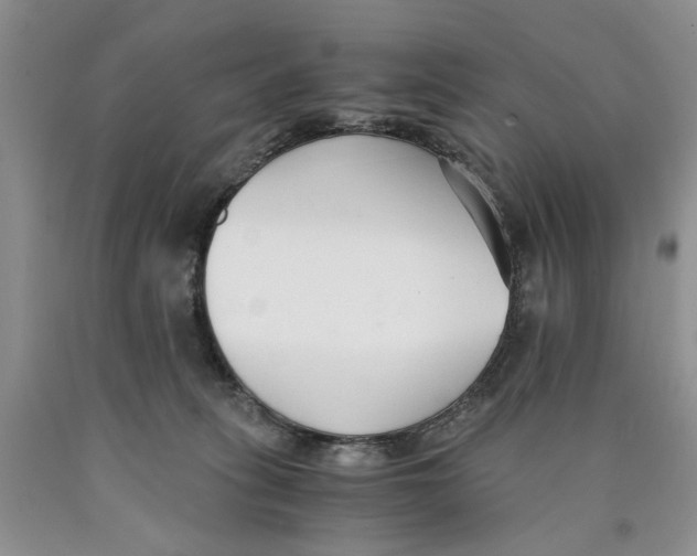 X0000089930275200707271804