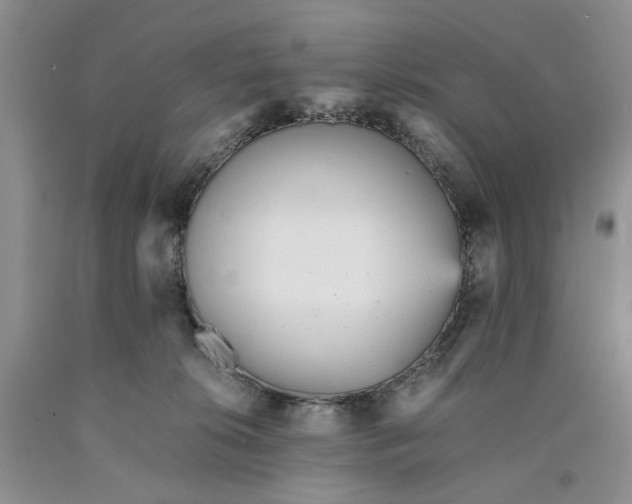 X0000089930276200707271804