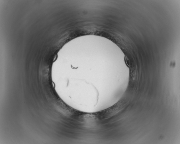 X0000089930279200707271804