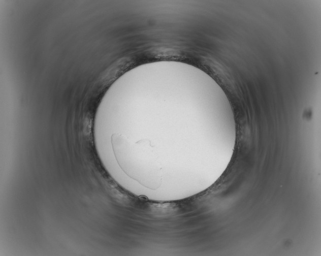 X0000089930281200707271804