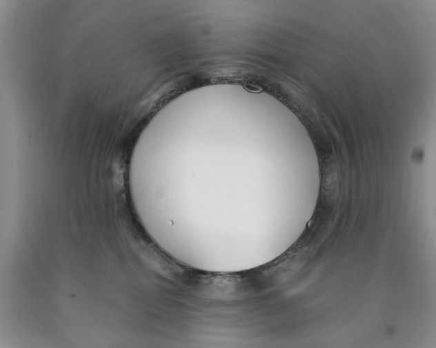 X0000089930282200707271804