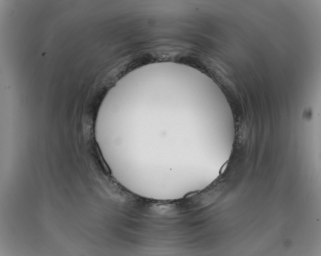 X0000089930283200707271804