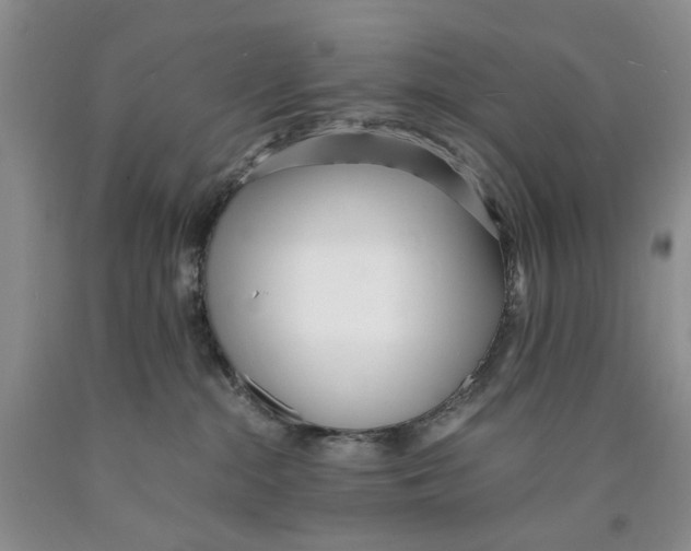 X0000089930284200707271804