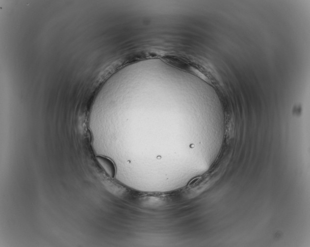 X0000089930285200707271804