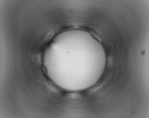 X0000089930286200707271804