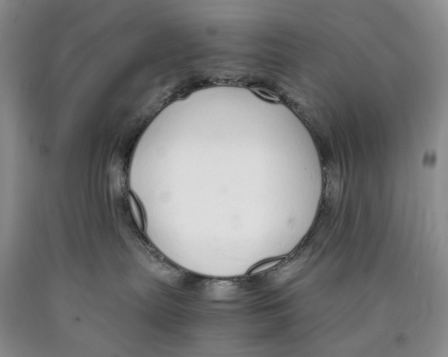 X0000089930287200707271804