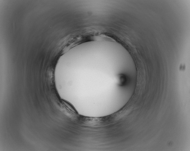 X0000089930288200707271804