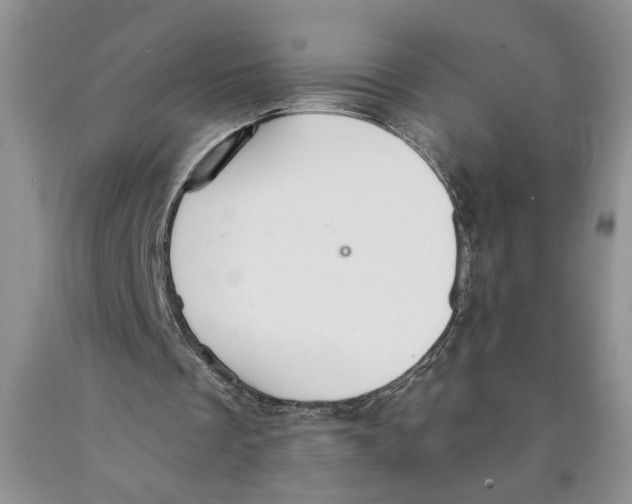 X0000089930289200707271803