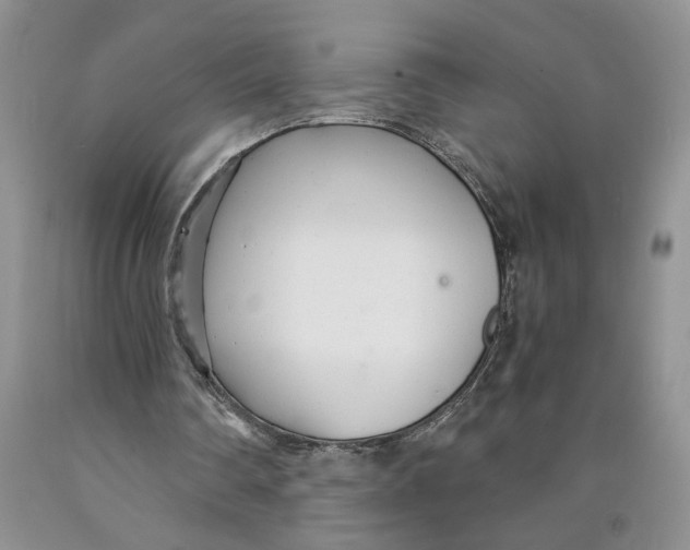 X0000089930290200707271803