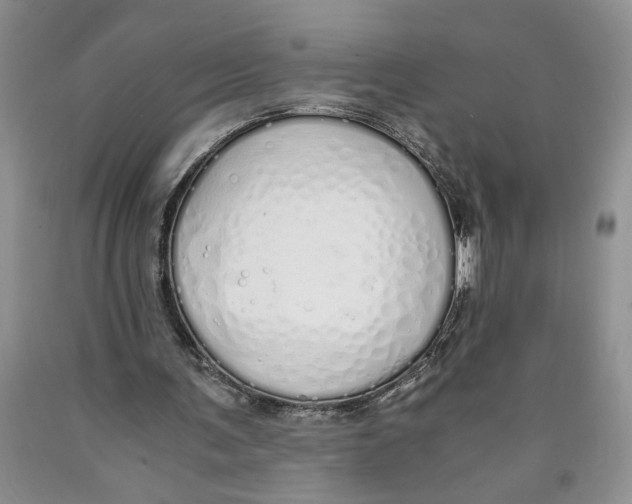 X0000089930291200707271803