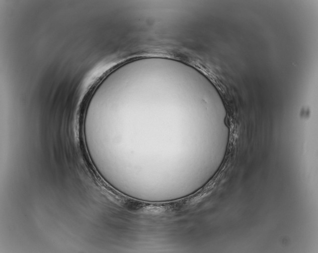 X0000089930294200707271803