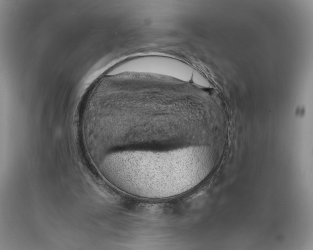 X0000089930295200707271803