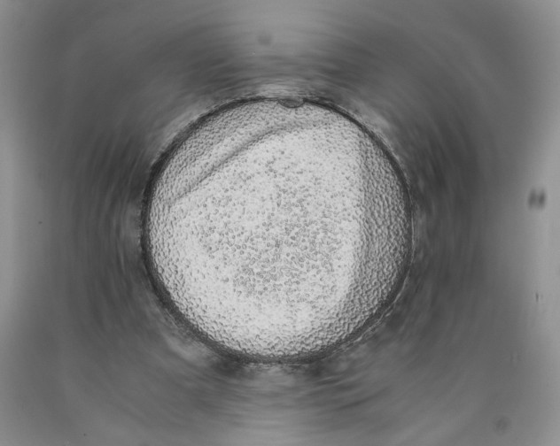 X0000089930297200707271803