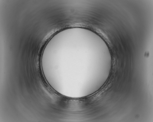 X0000089930298200707271803