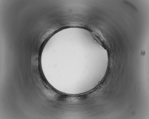 X0000089930299200707271803