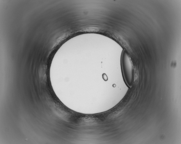 X0000089930300200707271803