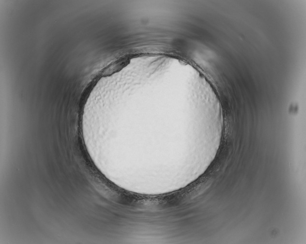 X0000089930301200707271803