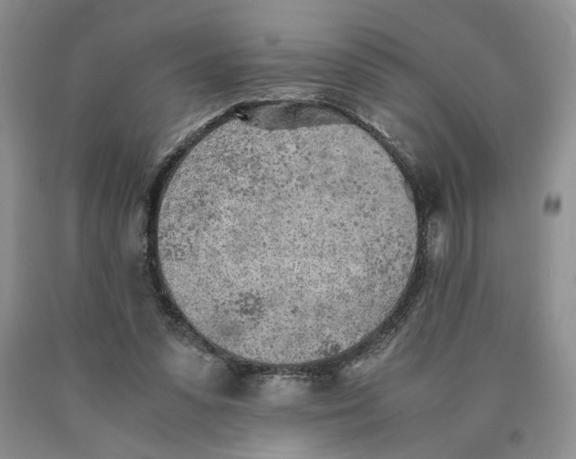 X0000089930303200707271803