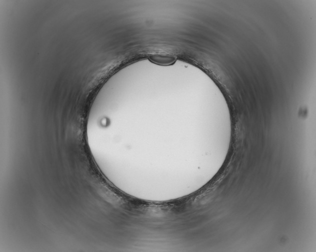 X0000089930305200707271803