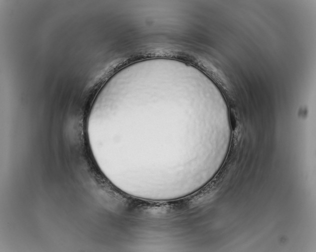 X0000089930306200707271803